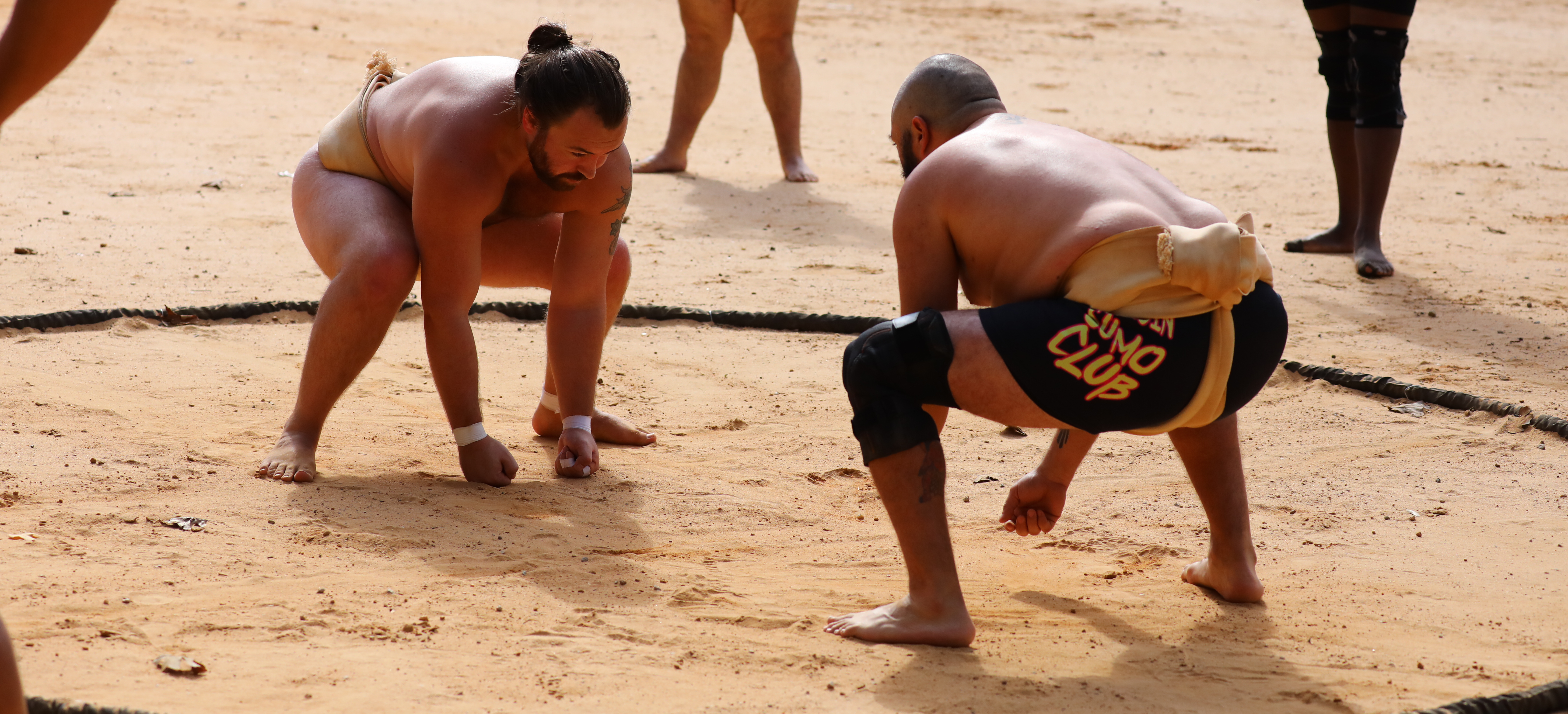 Two sumo wrestlers in a low stance ready to engage